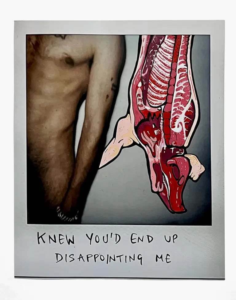 Disappointing Polaroid